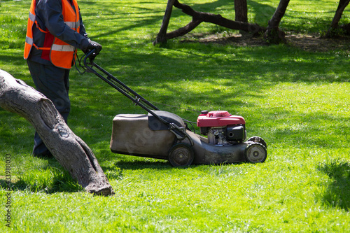 Lawn Mower. Municipal services are engaged in mowing lawns.