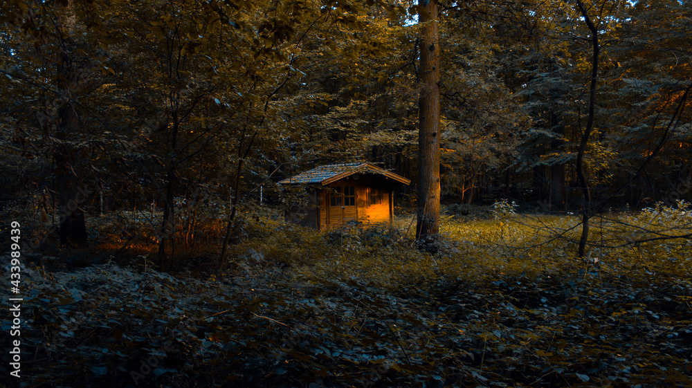 Naklejka premium cabin in the woods
