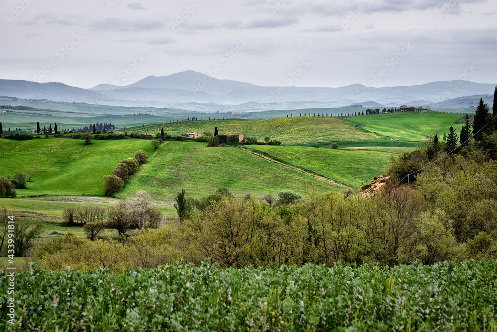 Lovely Tuscany landscapes