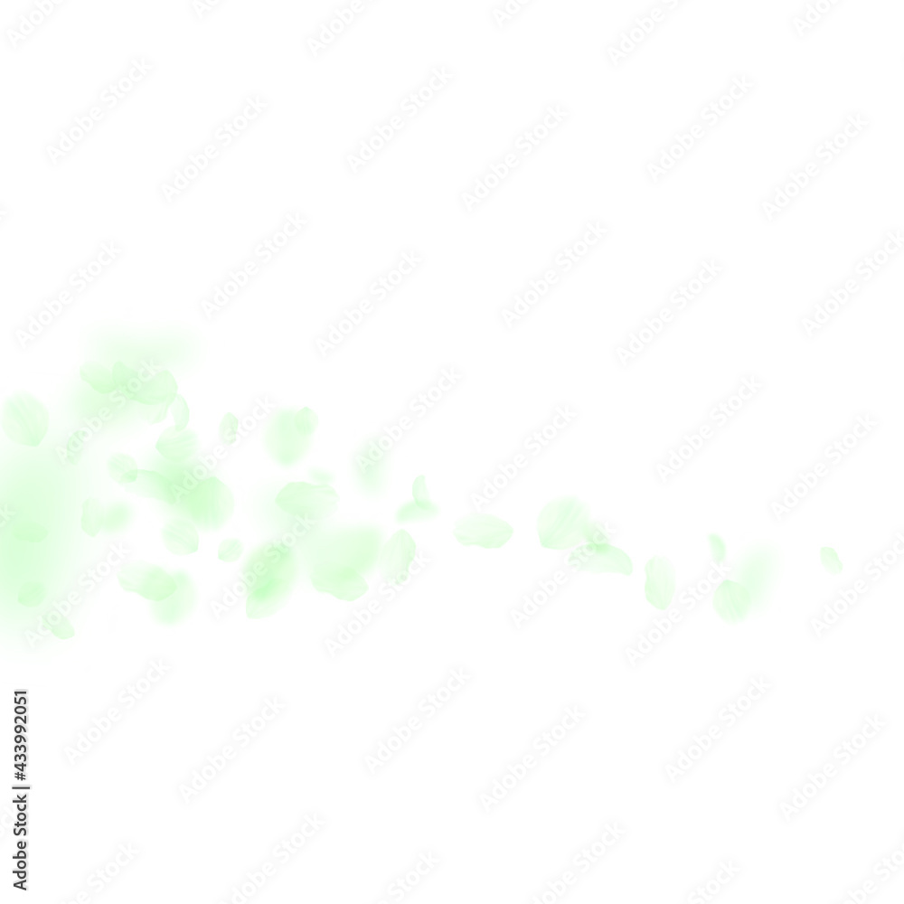 Green flower petals falling down. Rare romantic fl Green flower petals falling down. Rare romantic fl