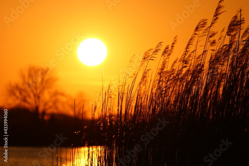 sunset on the lake
