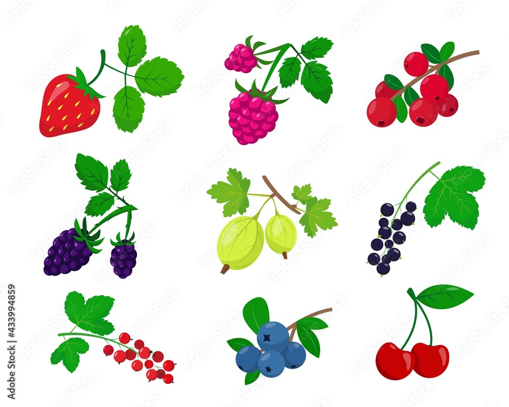 Bright berries with leaves icons collection. Bright berries with leaves icons collection.