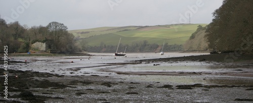 Obraz na plátně Muddy, tidal estuary at low tide