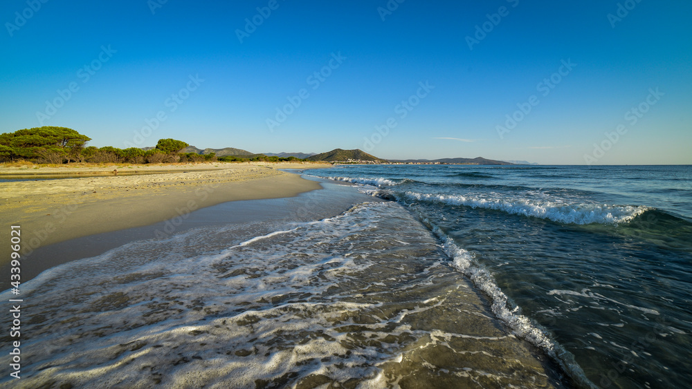 Fototapeta premium empty morning beach of sardegna