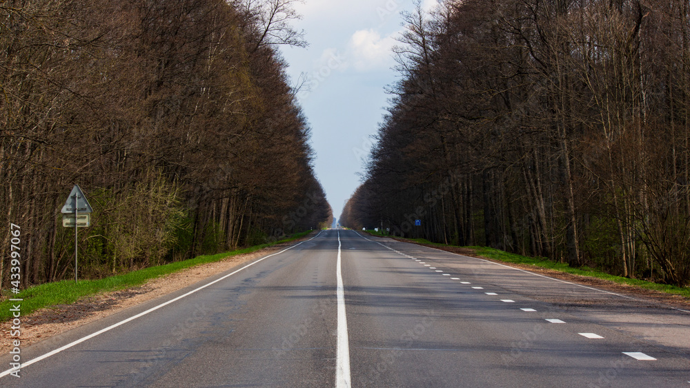 Asphalt road in in the spring forest.  Empty highway in forest. Travel.
