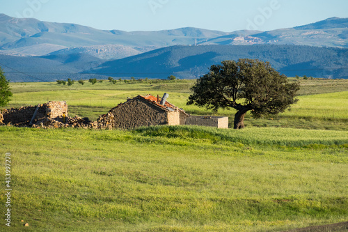 scenic views of Houses, green fields and mountains from the  Aures region in Batna, Algeria © NumediaPhoto
