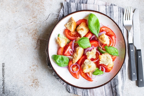 panzanella salad tomato, croutons, onion, olive oil, rusk on the table healthy food meal snack copy space food background rustic. top view keto or paleo diet veggie vegan or vegetarian food