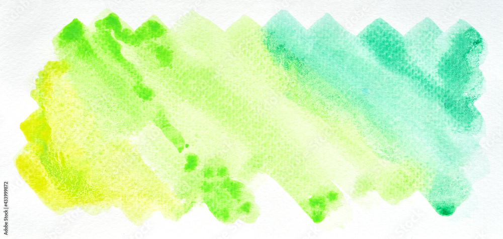 a photo image of abstract various green shade watercolor on paper, hand paint of green watercolor gradient for background, wet technique on paper to mix difference color
