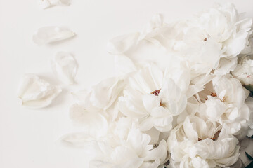 Decorative floral corner, banner made of peonies flowers, petals isolated on white table background. Empty copy space. Flat lay, top view. Picture for blog. Summer wedding or birthday concept.