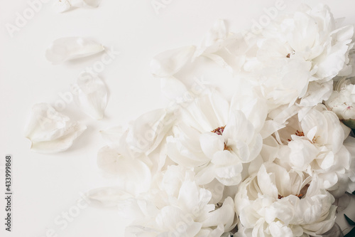 Decorative floral corner, banner made of peonies flowers, petals isolated on white table background. Empty copy space. Flat lay, top view. Picture for blog. Summer wedding or birthday concept. © tabitazn