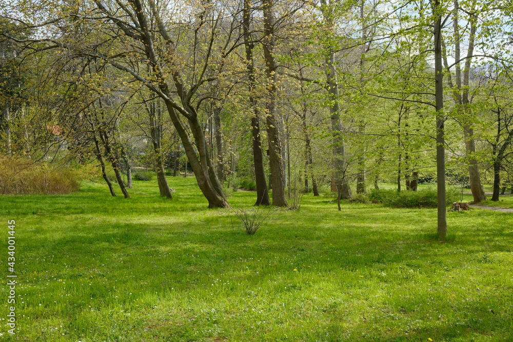 Frühling Parkanlage mit grünen Wiesen Frühling Parkanlage mit grünen Wiesen