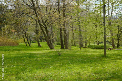 Frühling Parkanlage mit grünen Wiesen