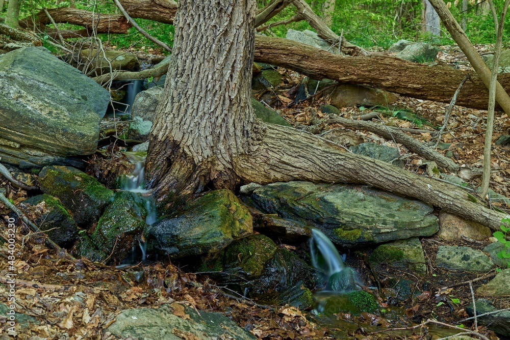 agua ceda agua ceda
