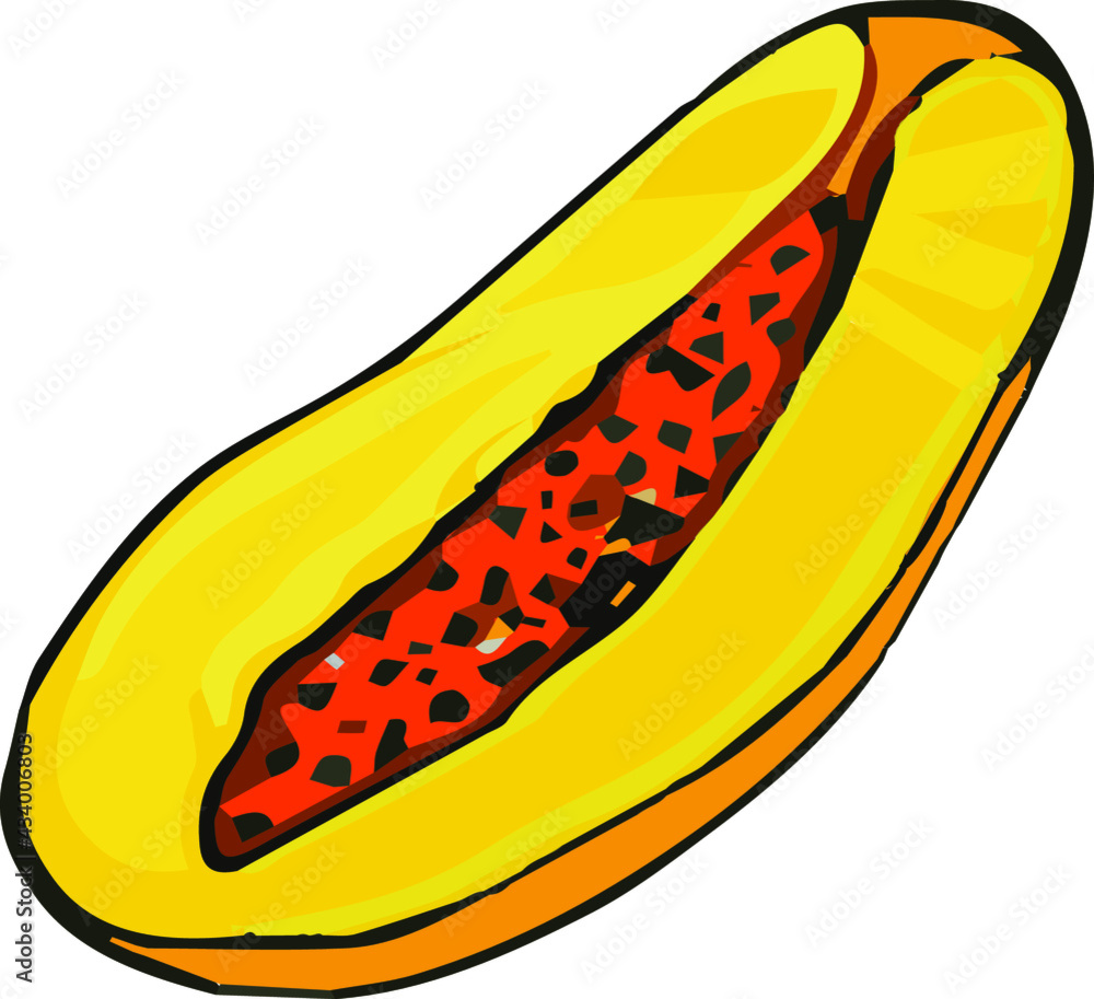 Vector ripe fruit papaya hand drawn, half of papaya, vector fruit Vector ripe fruit papaya hand drawn, half of papaya, vector fruit