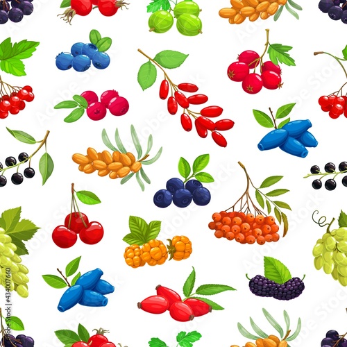 Berries seamless pattern. Cartoon vector sea buckthorn, black chokeberry and cherry, hawthorn, bilberry and gooseberry, viburnum, barberry and honeysuckle, cloudberry and grapes, rowanberry, rosehip