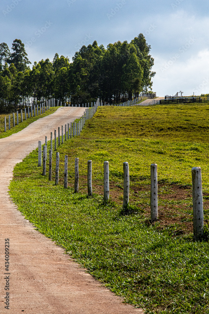Obraz premium Landscape