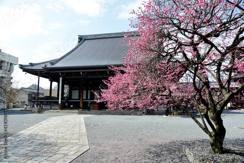 興正寺 御影堂 京都市下京区