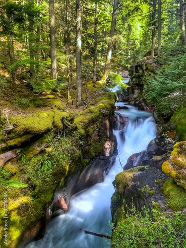 waterfall in the woods