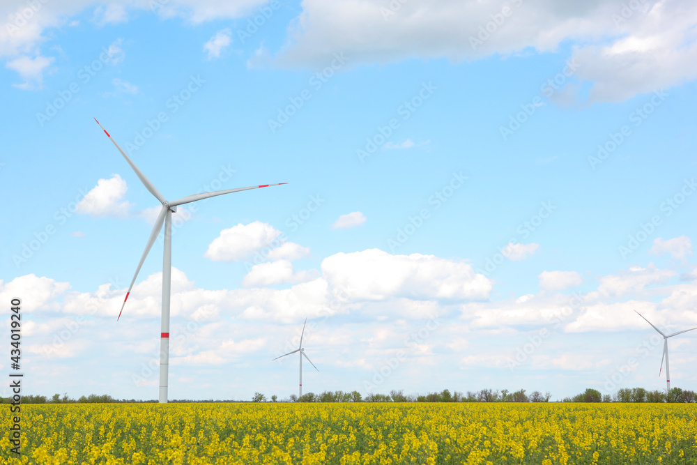 wind generator for generating electricity in the field