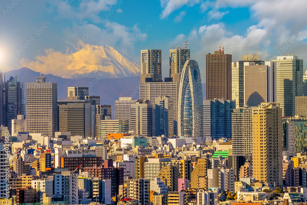 Fototapeta premium Downtown Tokyo city skyline cityscape of Japan