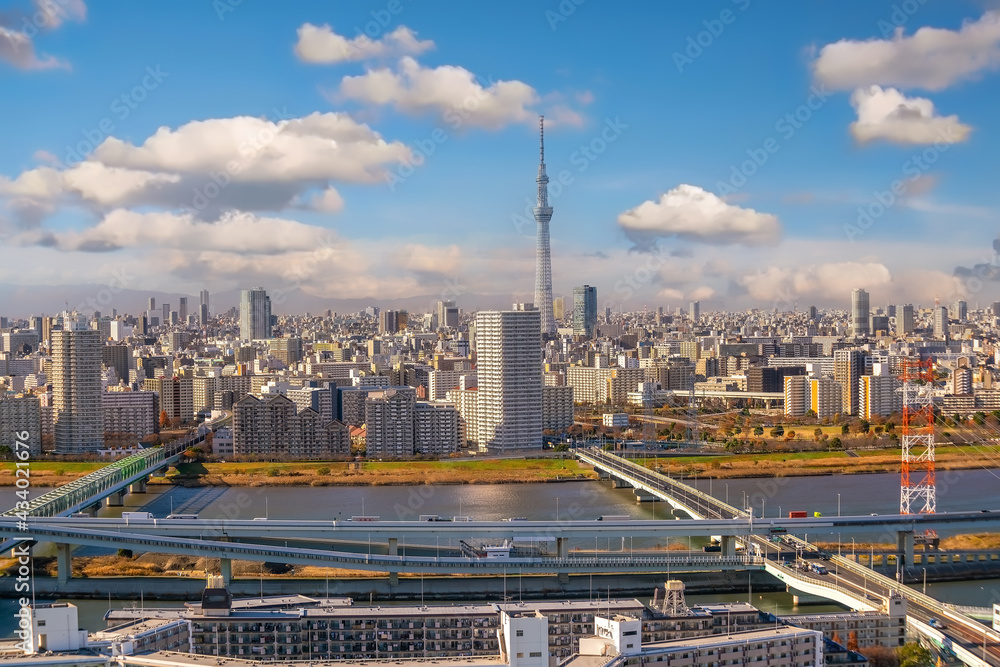 Obraz premium Downtown Tokyo city skyline cityscape of Japan