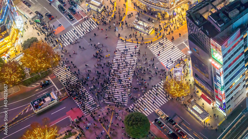 Pedestrians crosswalk at Shibuya district in Tokyo, Japan photo