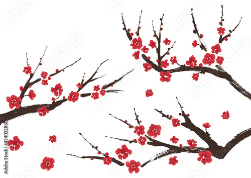 梅の枝（紅梅）