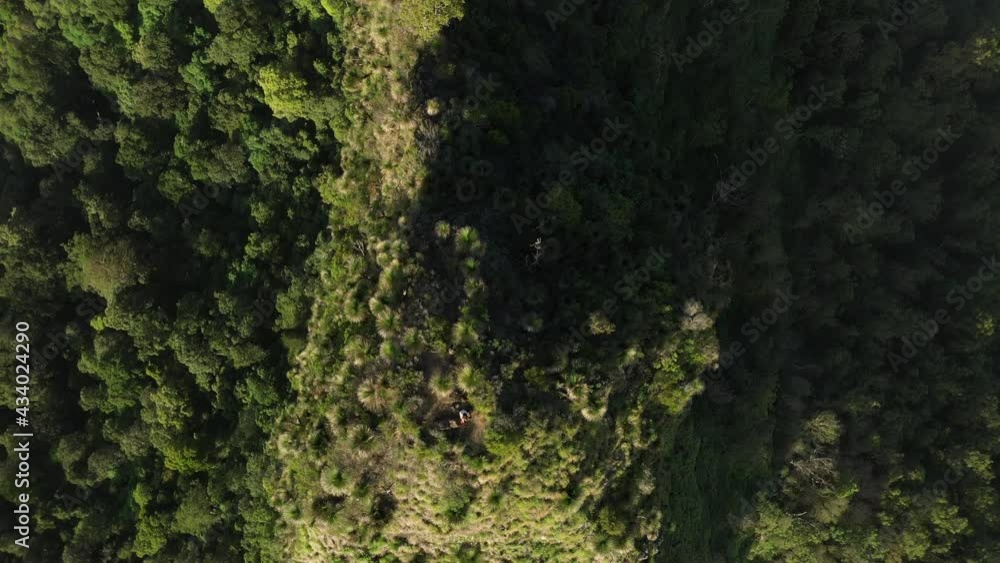 4K drone shot tilting down at a mountain peak covered with trees during sunset at Border Ranges National Park, New South Wales in Australia. 4K drone shot tilting down at a mountain peak covered with trees during sunset at Border Ranges National Park, New South Wales in Australia.