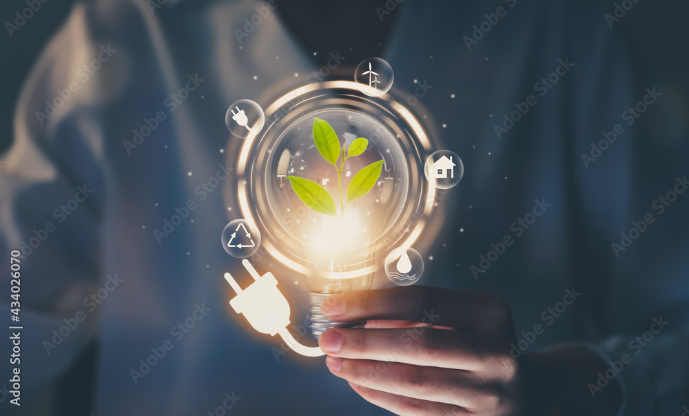 Hand holding light bulb with power plug and show trees, renewable energy icons with sustainable development. - obrazy, fototapety, plakaty 