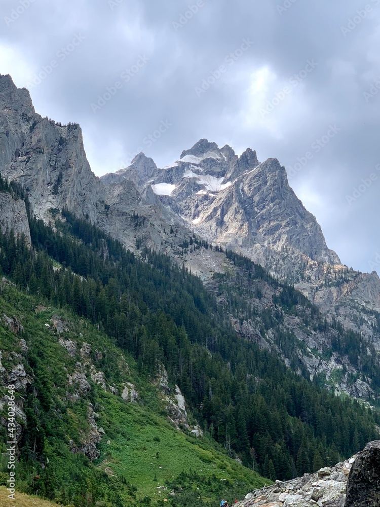 Fototapeta premium Grand tetons