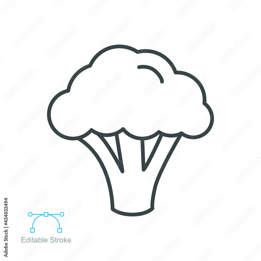Broccoli icon. Nature vegetable organic food nutrition. Fresh healthy garden harvest. cabbage, cauliflower editable stroke outline style pictogram vector illustration design on white background EPS 10 Broccoli icon. Nature vegetable organic food nutrition. Fresh healthy garden harvest. cabbage, cauliflower editable stroke outline style pictogram vector illustration design on white background EPS 10