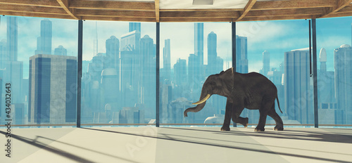 Photography Elephant business
