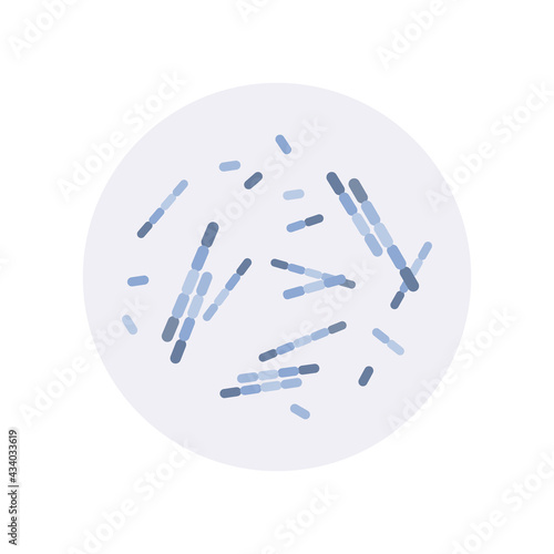 Bacillus cereus, subtilis, anthracis. Pathogen. Rod-shaped, gram-positive bacteria. Morphology. Microbiology. Vector flat illustration