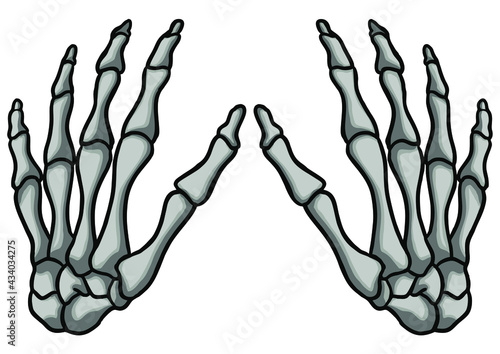 x ray of human hand