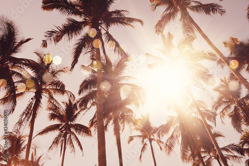 Fototapeta Naklejka Na Ścianę i Meble -  Tropical palm coconut trees on sunset sky flare and bokeh nature background