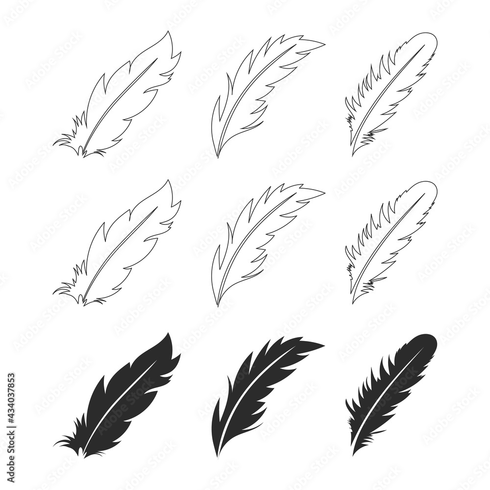 White and black feathers and beautiful stripes vector set, isolated on white background , Vector illustration EPS 10 White and black feathers and beautiful stripes vector set, isolated on white background , Vector illustration EPS 10