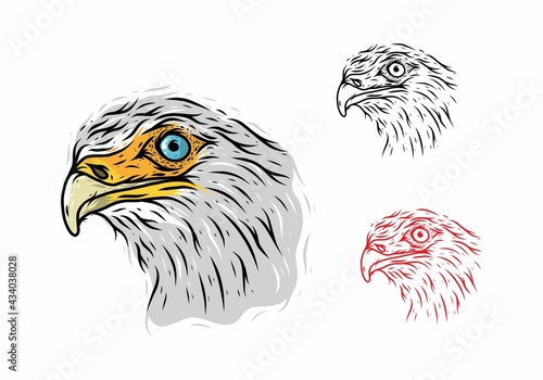 Eagle head line art drawing