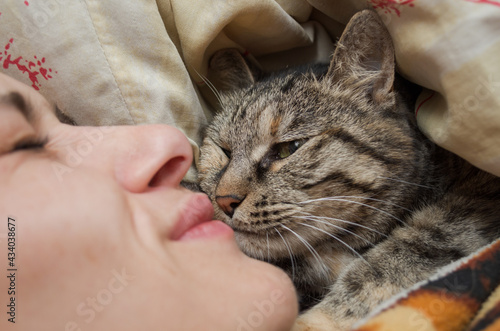 domestic cat caresses with the mistress