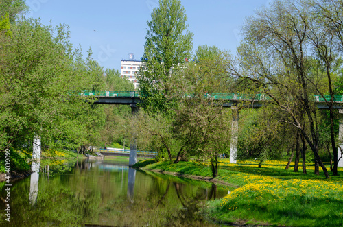 river and bridge in the city