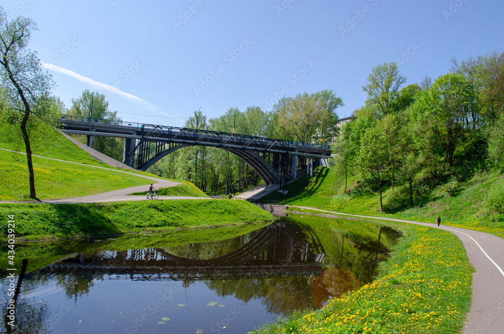 Fototapeta premium river and bridge in the city