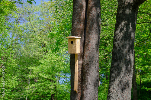 a green field of grass and sky