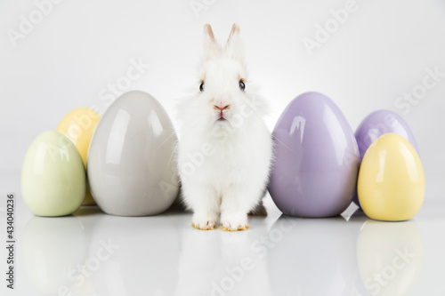 Baby bunny and egg, easter background