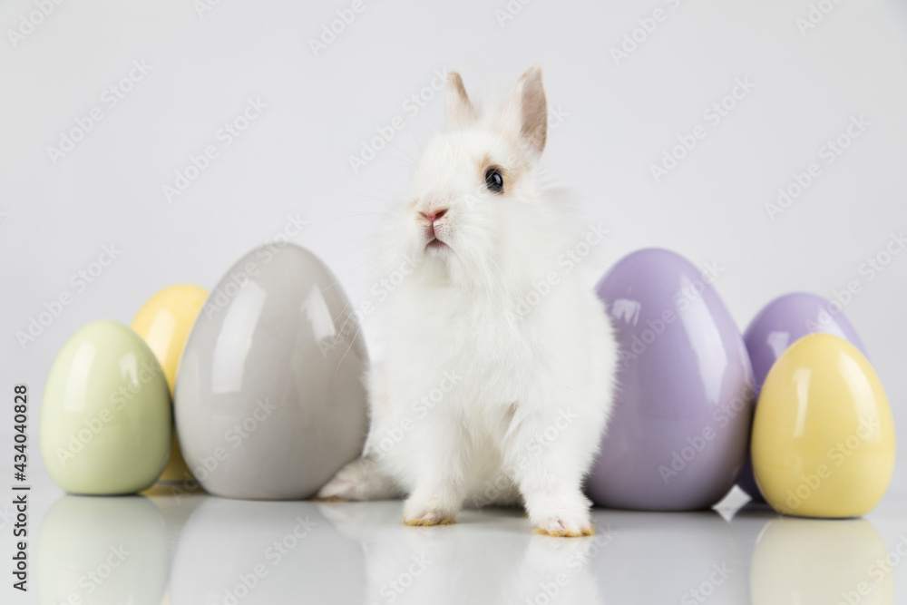 Egg,Little bunny, happy easter background Egg,Little bunny, happy easter background