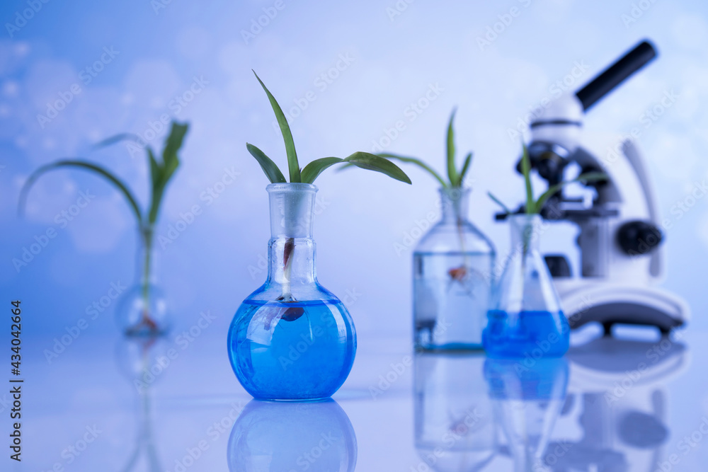 Microscope, Laboratory glassware, plant laboratory experimental Microscope, Laboratory glassware, plant laboratory experimental
