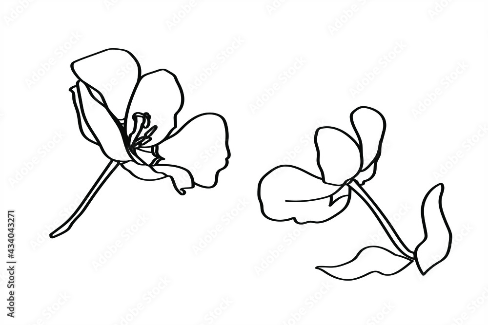 Obraz premium Vector Tulip Pattern. Image on a white and colored background.