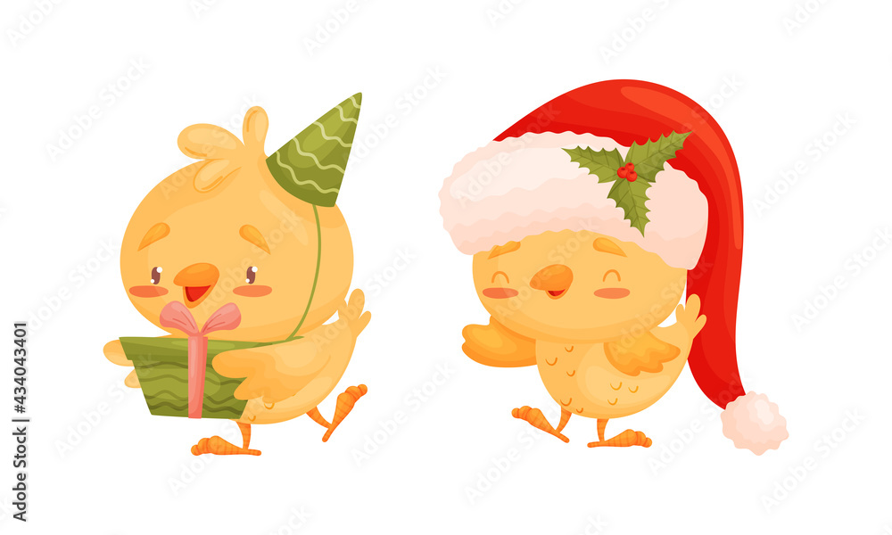 Cartoon Yellow Chicken Holding Gift Box and Wearing Santa Hat Vector Set Cartoon Yellow Chicken Holding Gift Box and Wearing Santa Hat Vector Set
