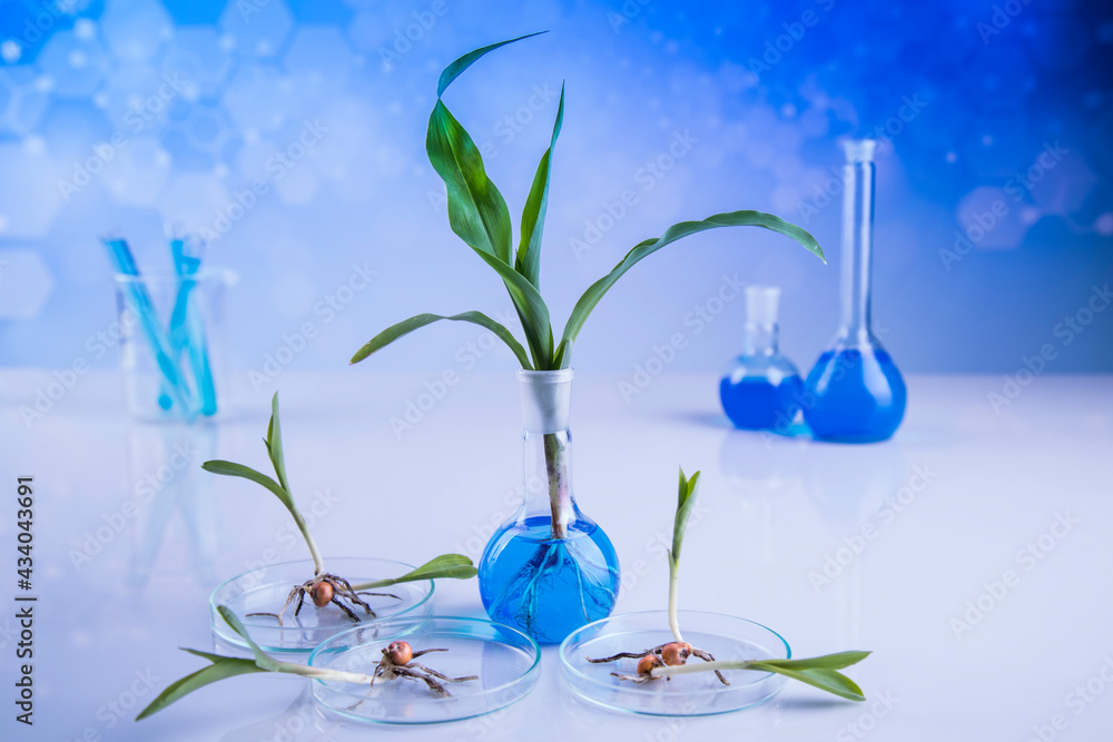 Biotechnology, Chemical laboratory glassware Biotechnology, Chemical laboratory glassware