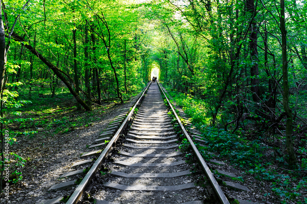 a railway in the spring forest tunnel of love a railway in the spring forest tunnel of love
