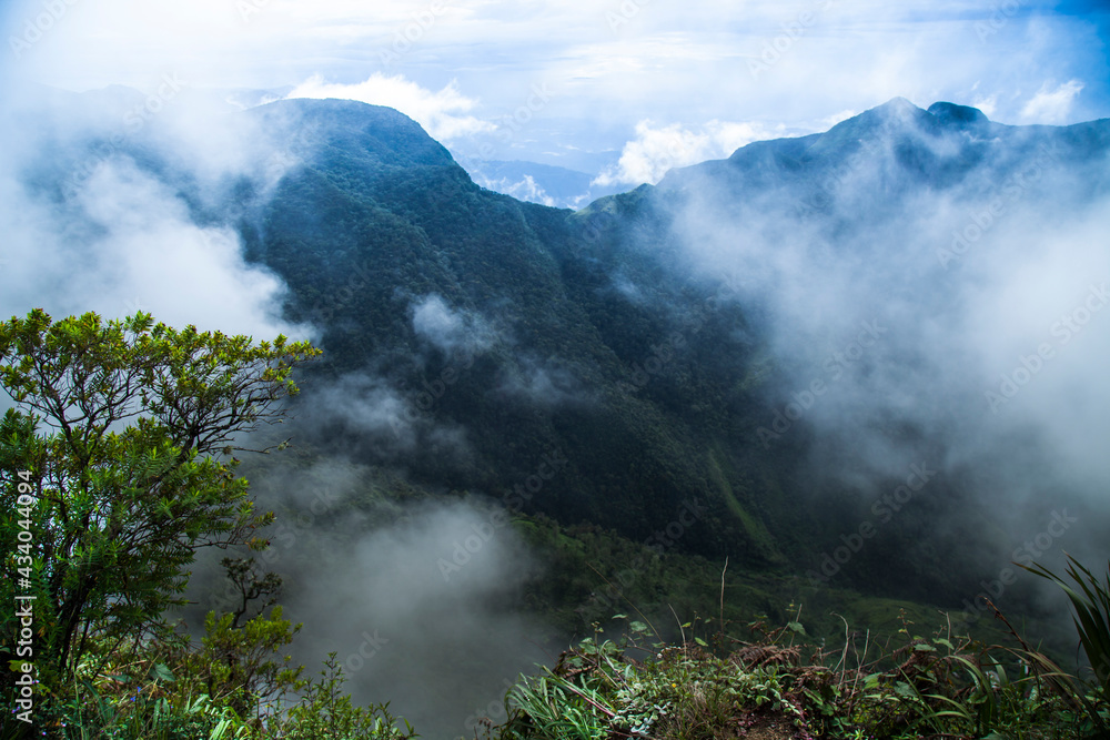 Morning Mist at Tropical Mountain Rang