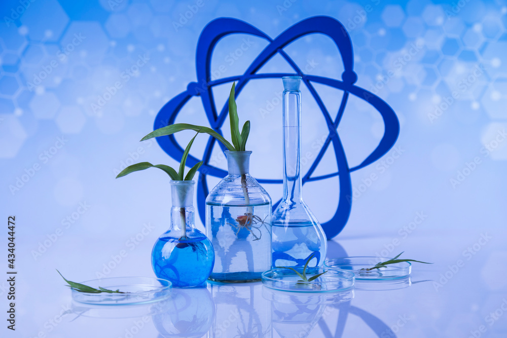 Atom, Laboratory glassware, genetically modified plant Atom, Laboratory glassware, genetically modified plant